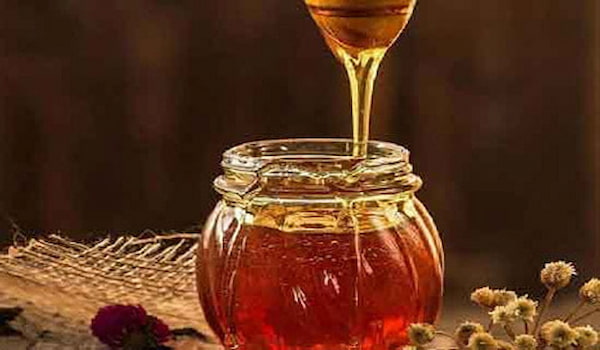 تصویر 1 از قیمت عسل کنار خوزستان با کیفیت ارزان + خرید عمده